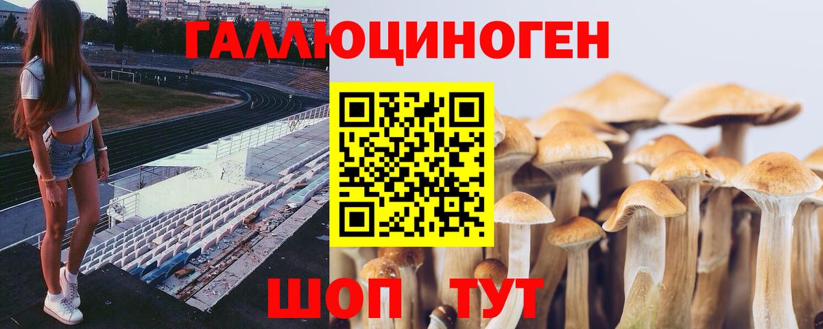 Самара  Псилоцибиновые грибы Psilocybine cubensis  Вход с VPN 